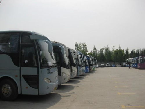 鄭州四海租車 專業(yè)大巴婚慶及商務汽車租賃服務