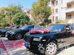 上海虹橋區(qū)租車服務 便捷出行，愛車無憂